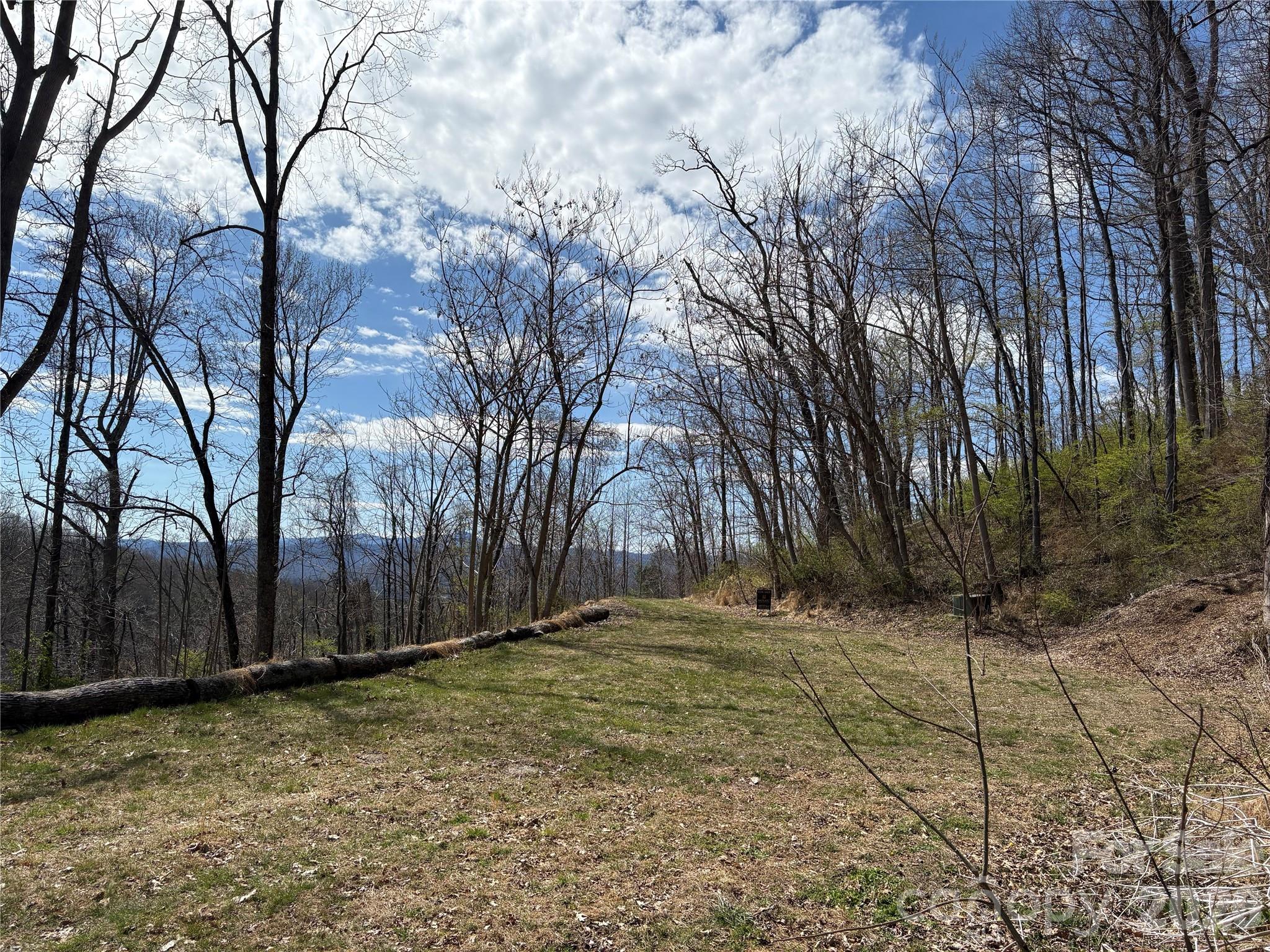 Pinchot Forest - Land