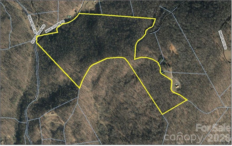 Welcome to the Mountains. This 41 acre parcel has several good building sites which would offer panoramic mountain views. The property contains mature trees and was last harvested 50 years ago. Most of the property is adjacent to roadway which is in exceptional condition. Electric runs along the road and through the acreage allowing owner to select from many locations for building sites. The property has a natural spring according to owner, location unknown. Family owned for many years dont miss out on an opportunity to own this wonderful piece of unrestricted mountain property. Priced at only $9146,00 per acre.