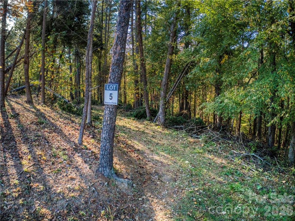 Beacon Pointe - Land