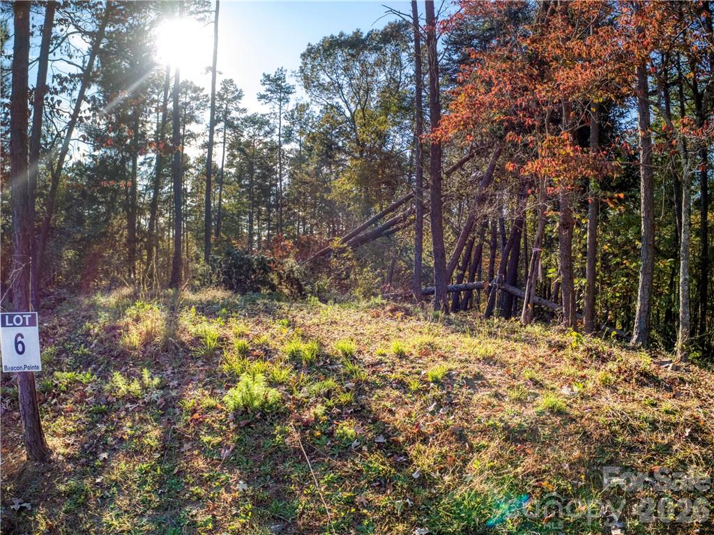 Beacon Pointe - Land