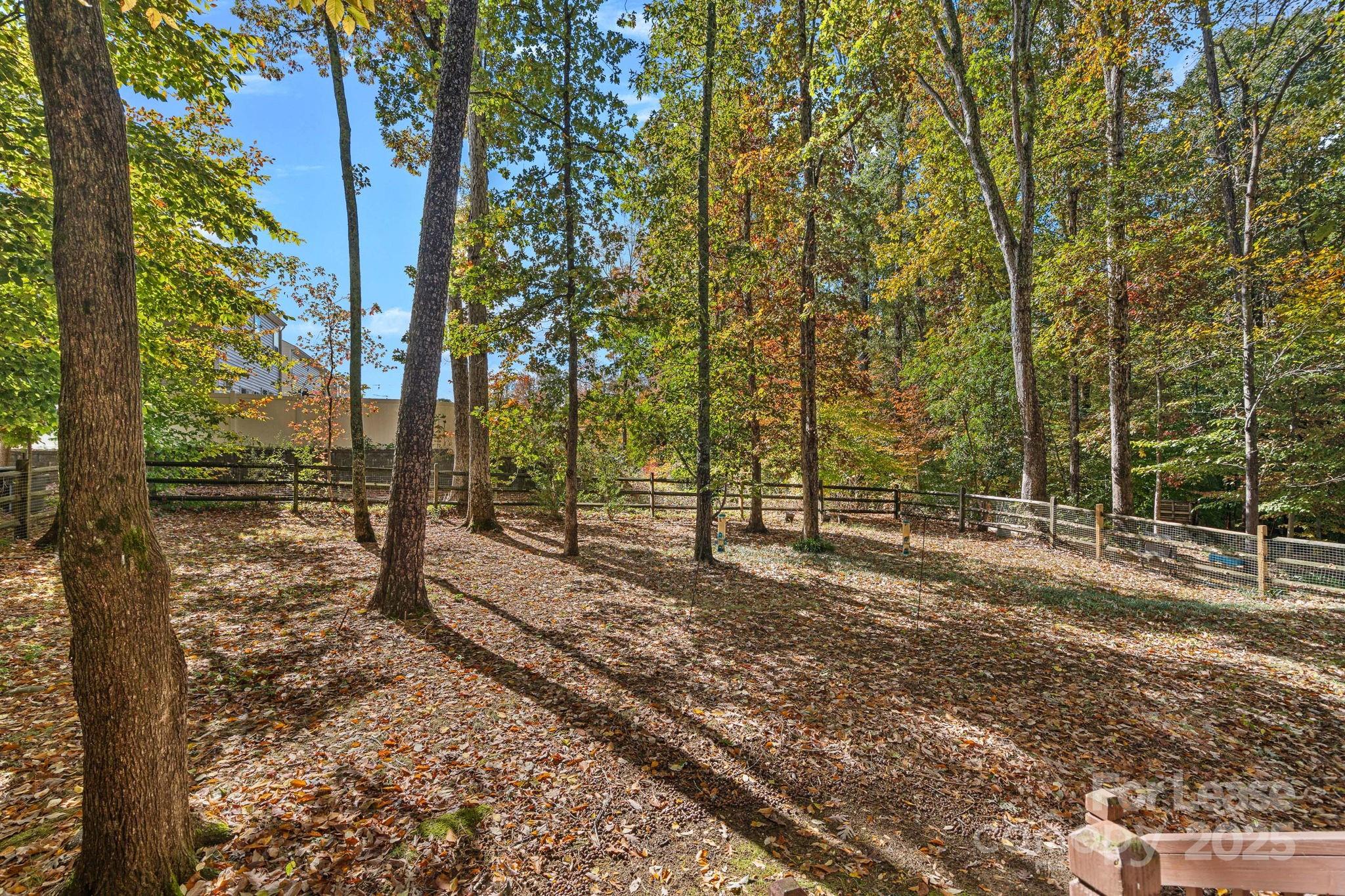 Chestnut - Residential Lease