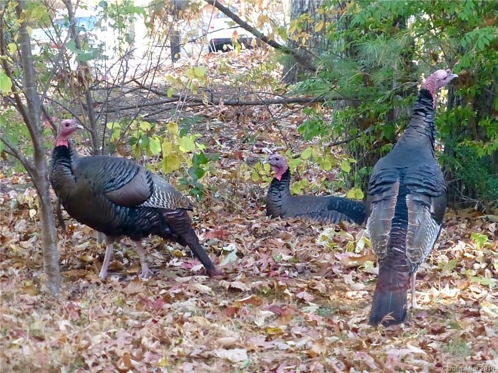 Brookwood - Residential