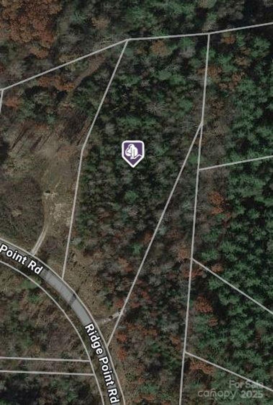 LOOKING FOR STUNNING VIEWS OF LINVILLE GORGE, TABLE ROCK, AND SHORTOFF MOUNTAIN? Here is a 2.89 acre gentle sloping interior lot in the premier gated community of The Peninsula of Lake James. Great opportunity to build the home of your dreams and open up incredible views! Community members can also enjoy a saltwater pool that is walking distance from the homesite, as well as a pavilion, firepit, community day dock, abd onsite boat storage. Short term rentals are allowed.