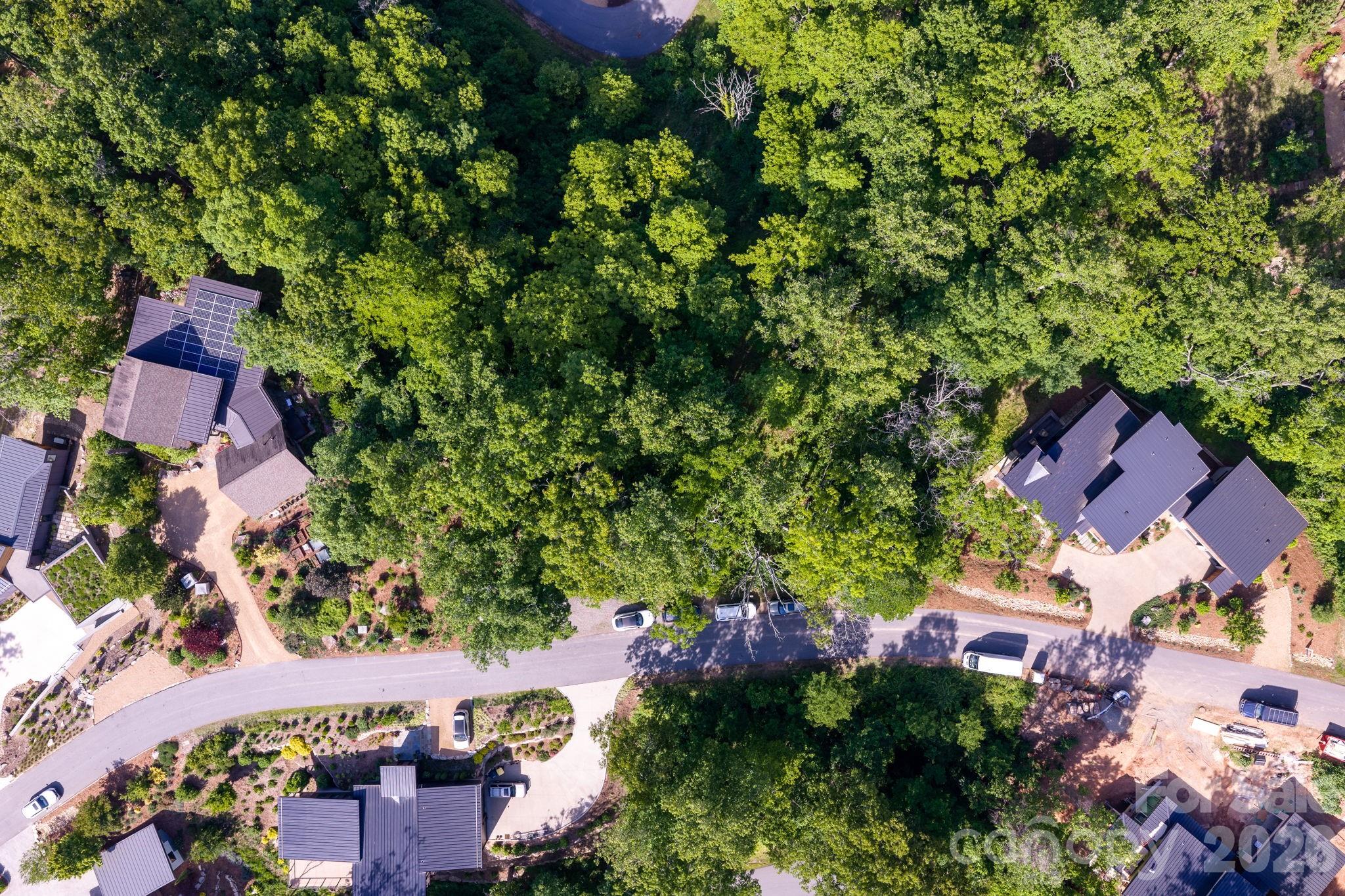17 Tulip Poplar Trail 30