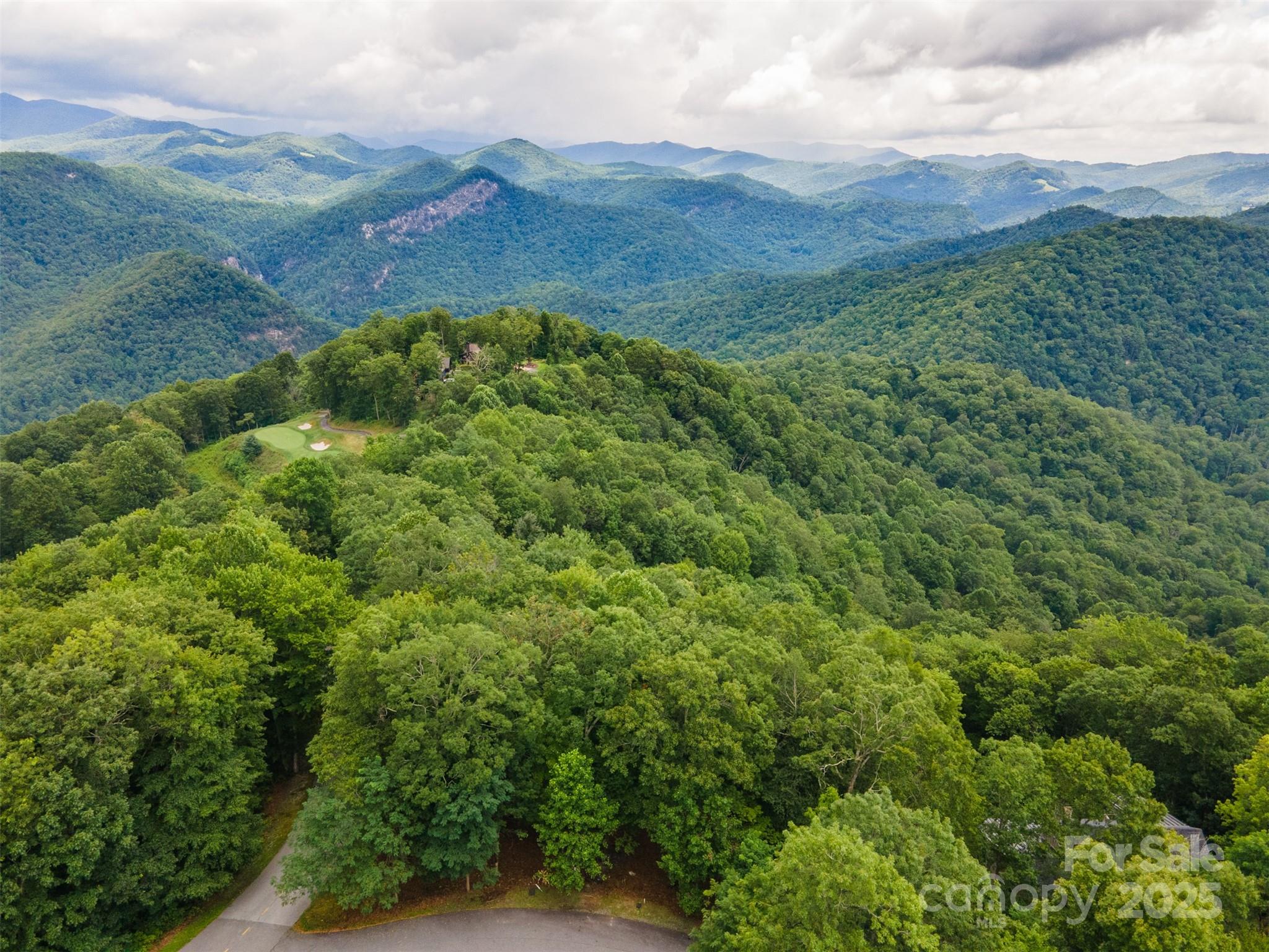 627 Steeplebush Court