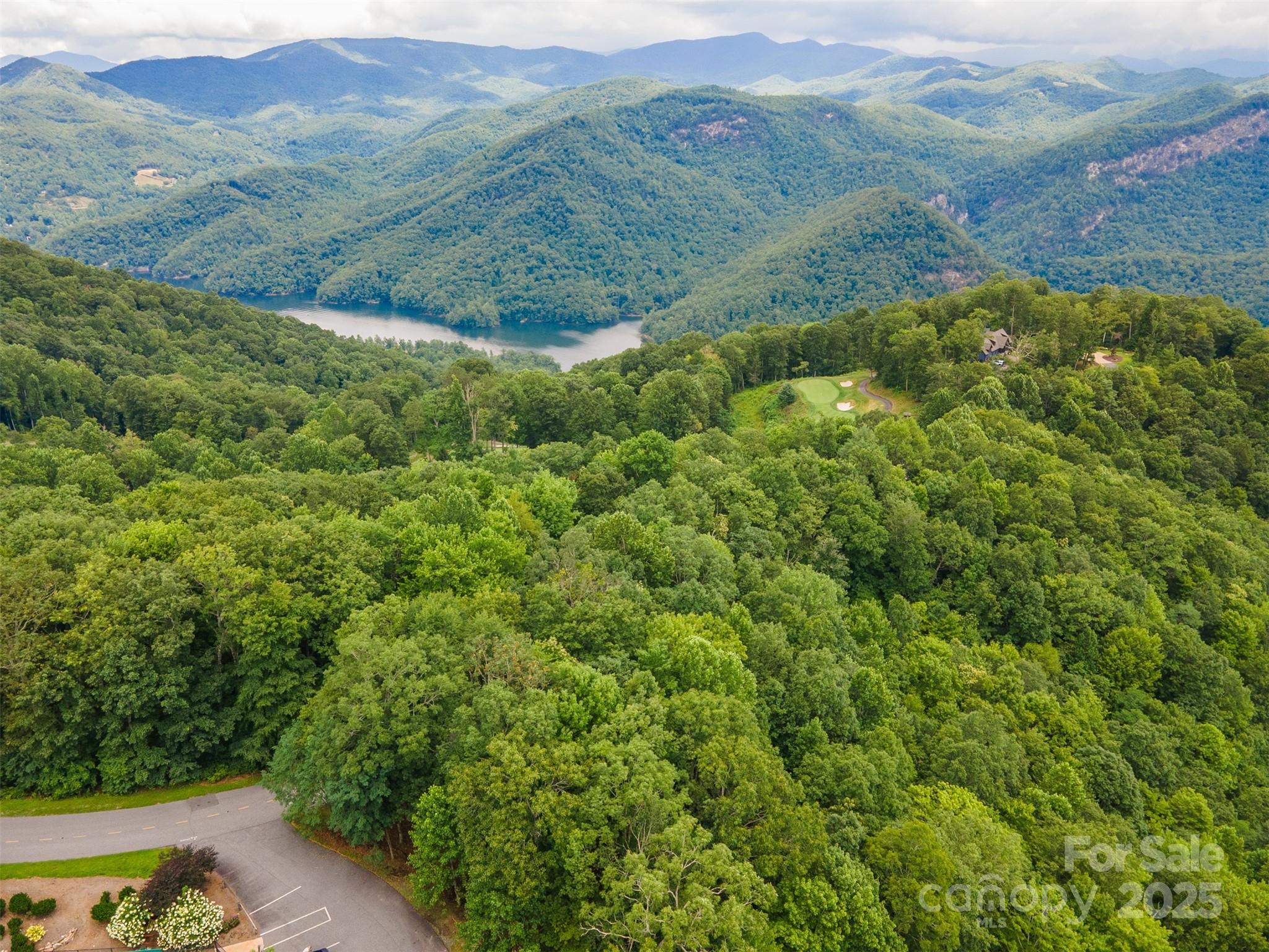 627 Steeplebush Court