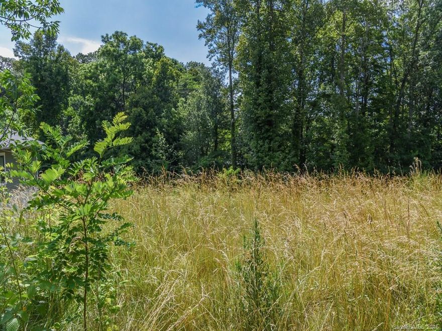 Your chance to own an in-field lot in the heart of Asheville and the upper side of east Biltmore Forest. Great investment opportunity or build your personal home minutes from downtown. Buy one, two, three or all four lots. Zoned R-8, Water and Sewer on site.