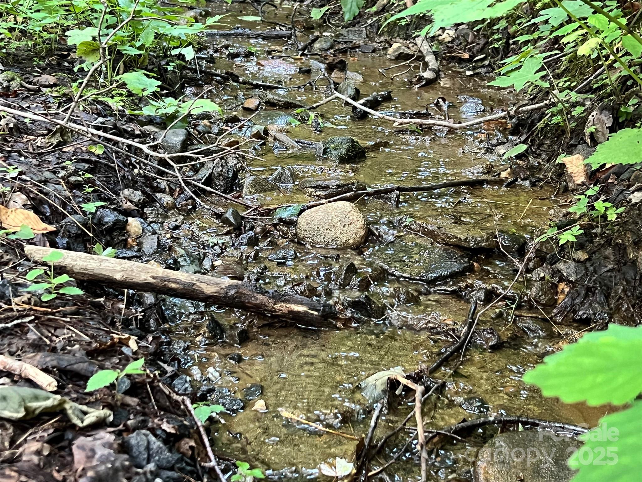 Cattail Creek - Land