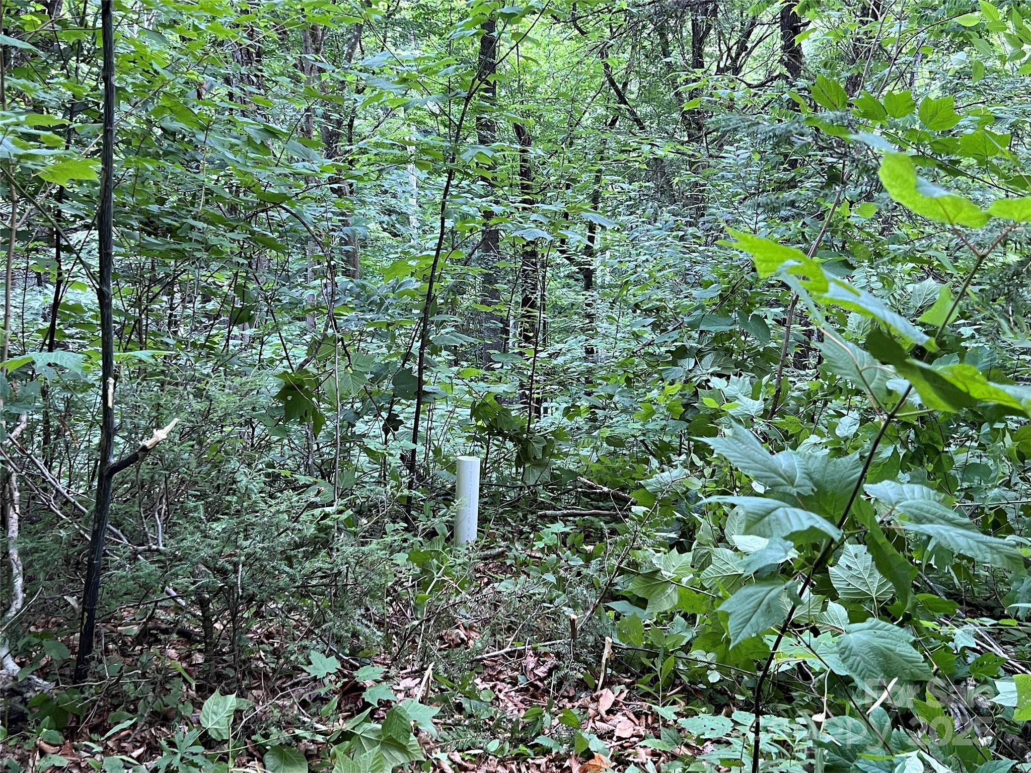 Cattail Creek - Land