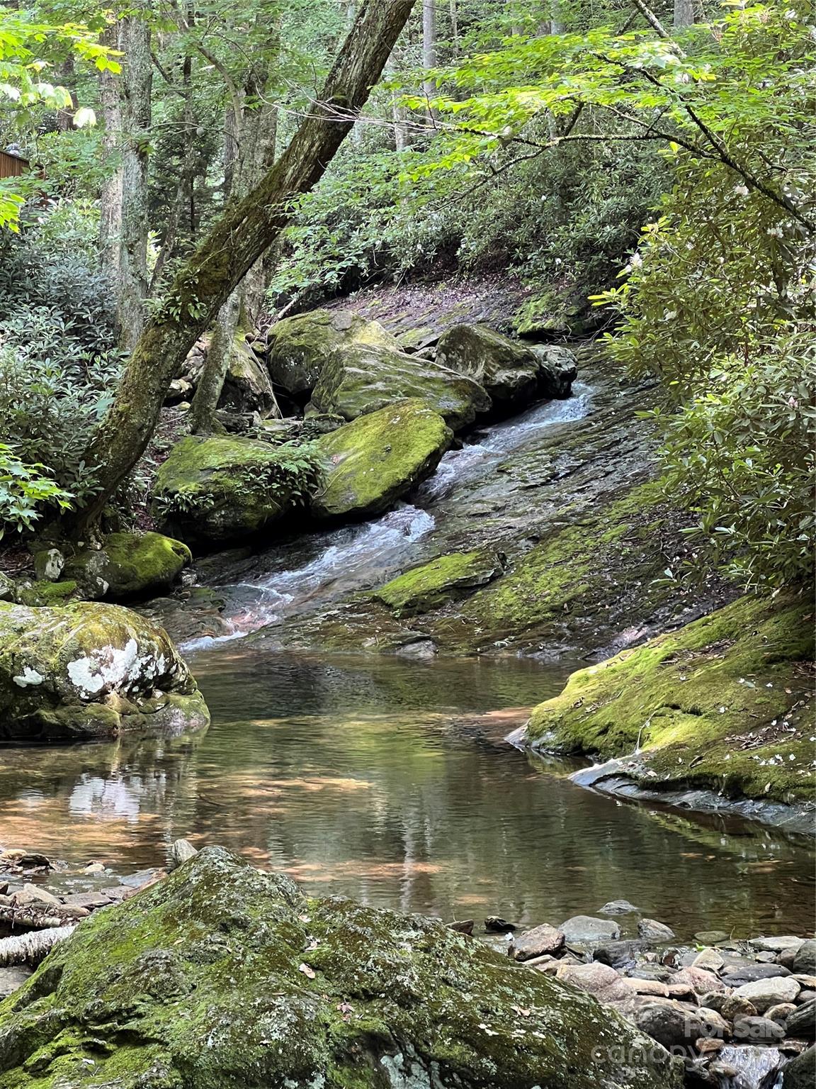Cattail Creek - Land
