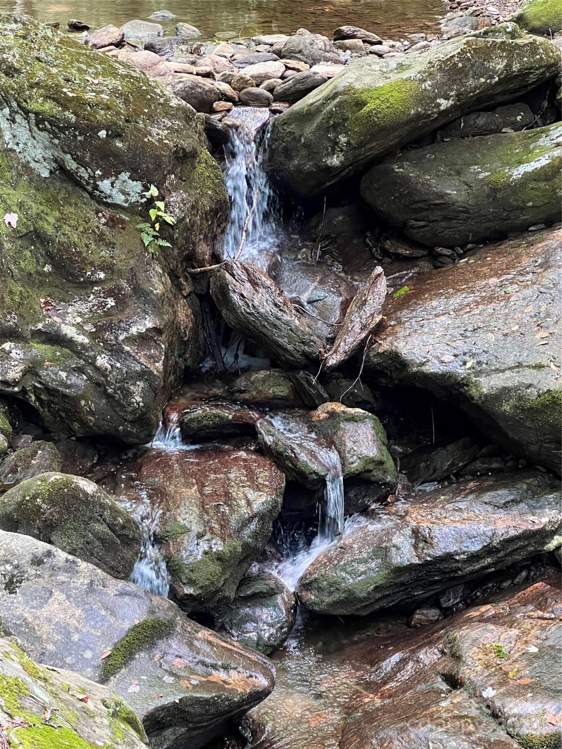 Cattail Creek - Land