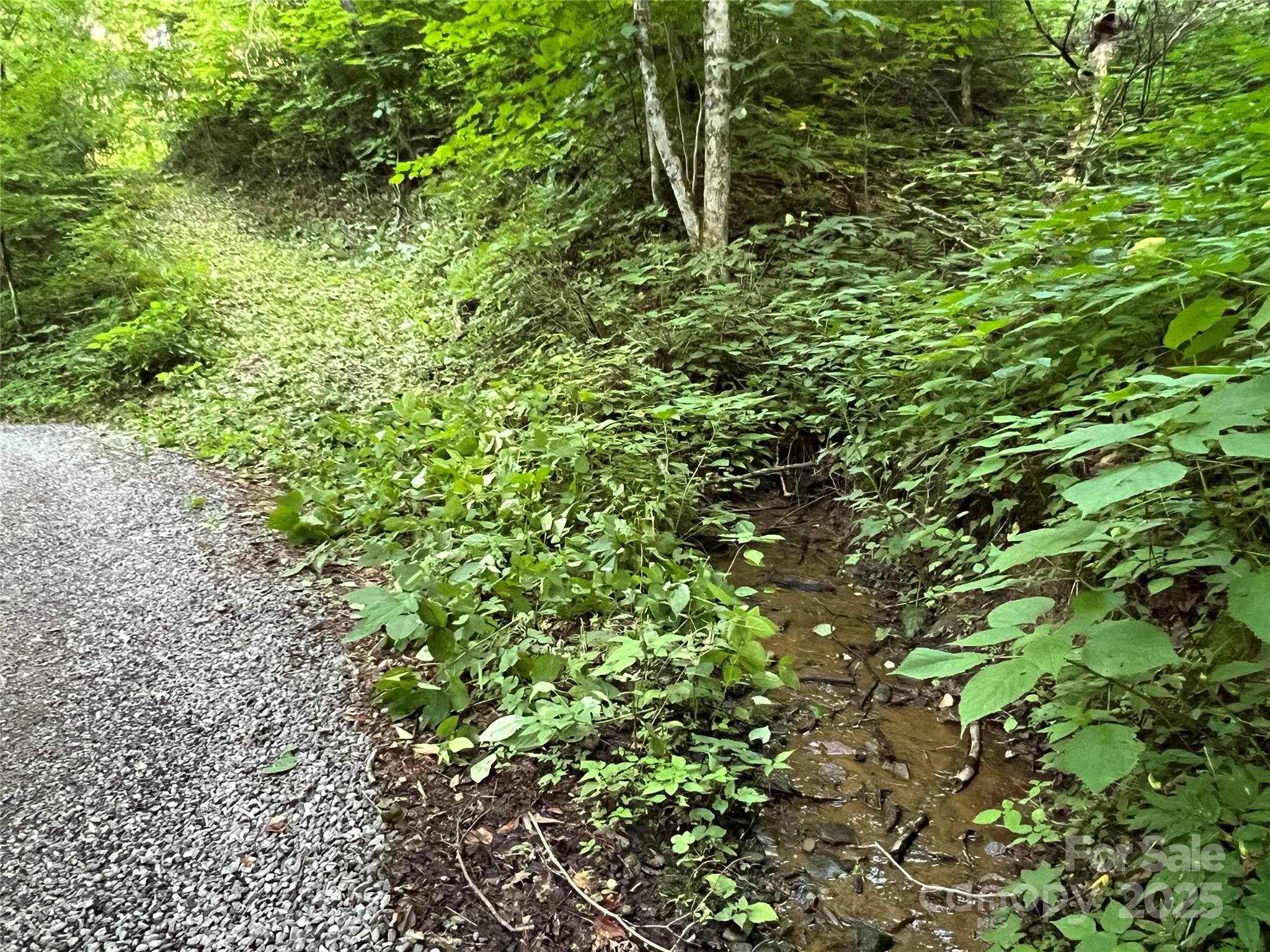 Cattail Creek - Land