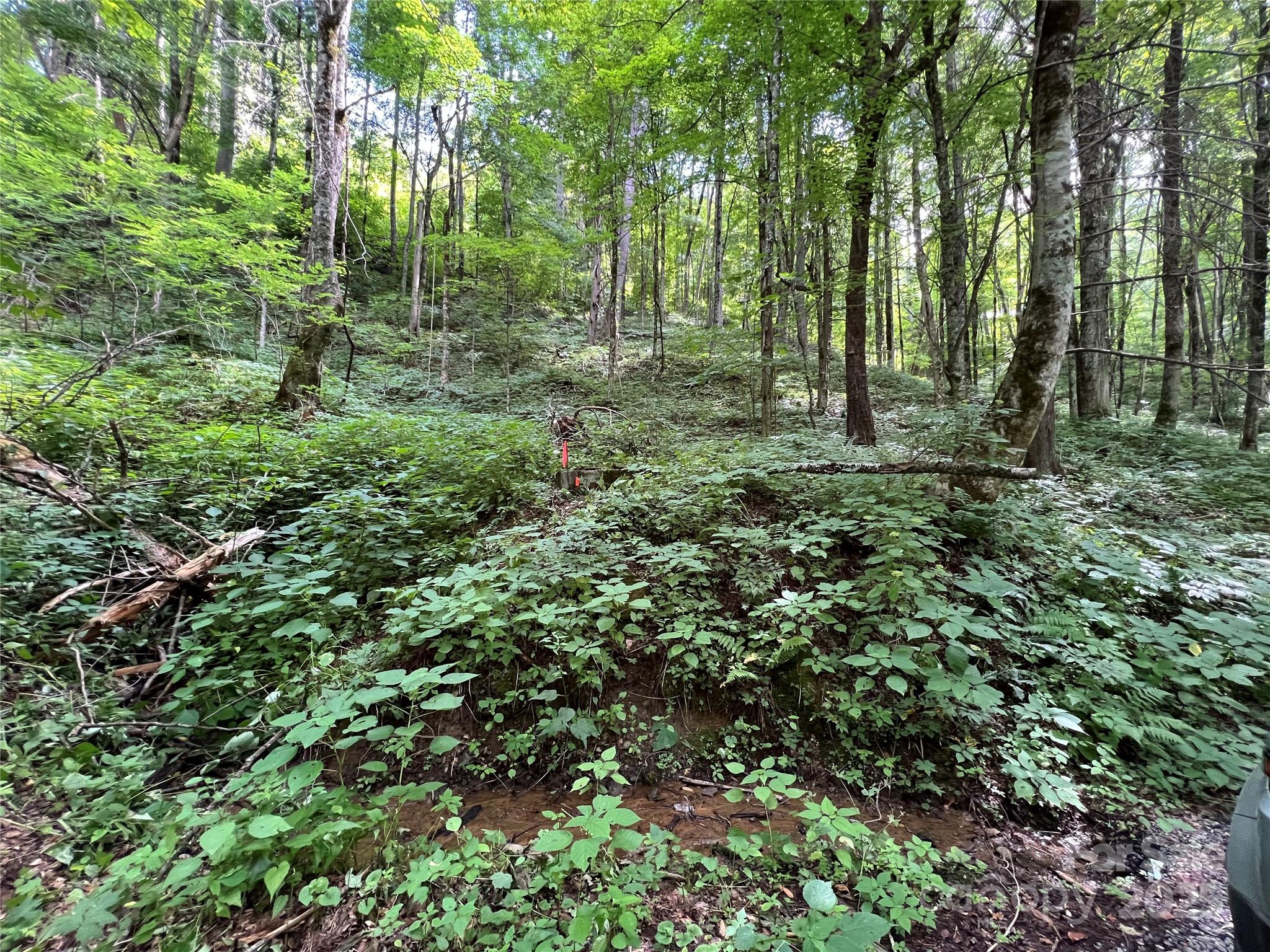 Cattail Creek - Land