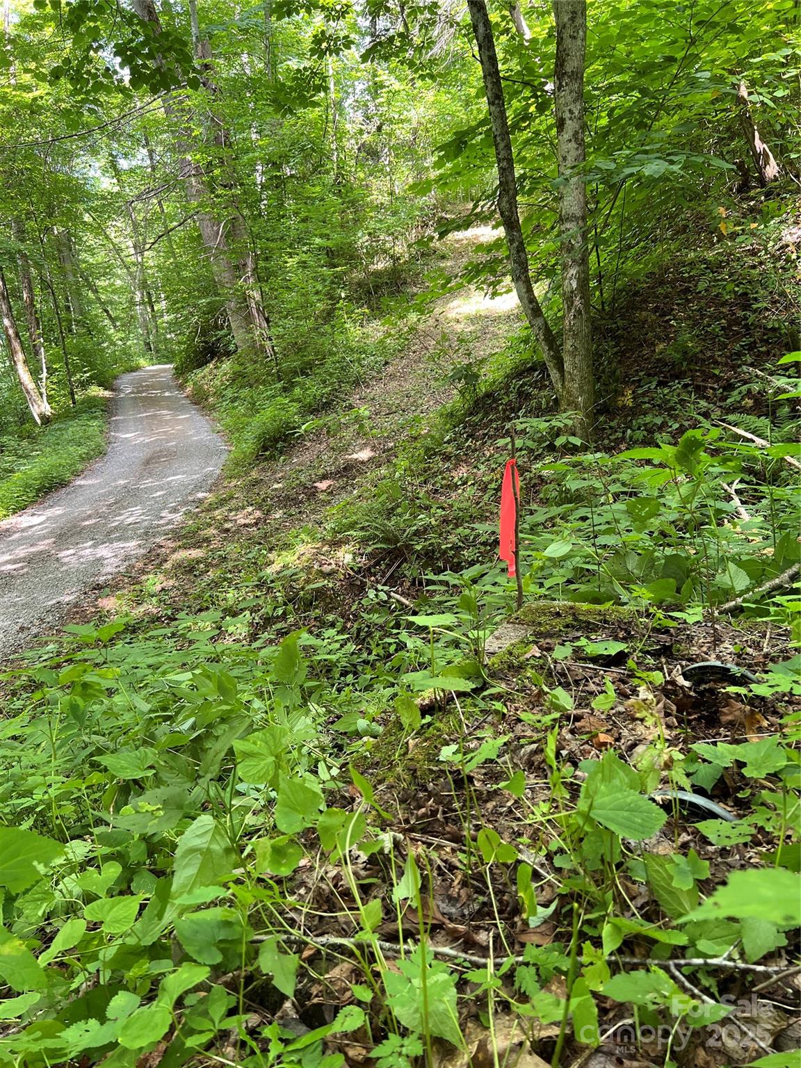 Cattail Creek - Land