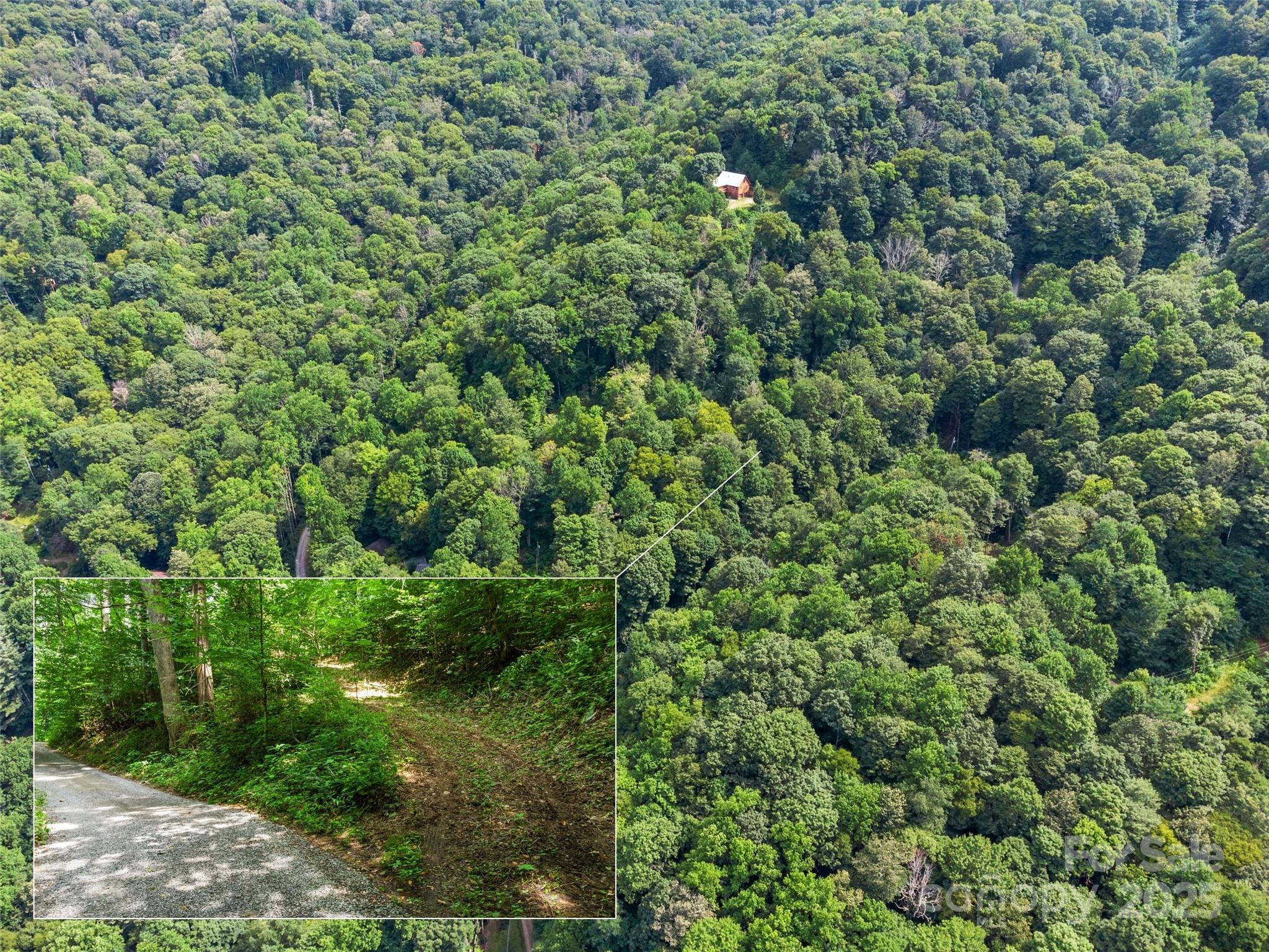 Cattail Creek - Land