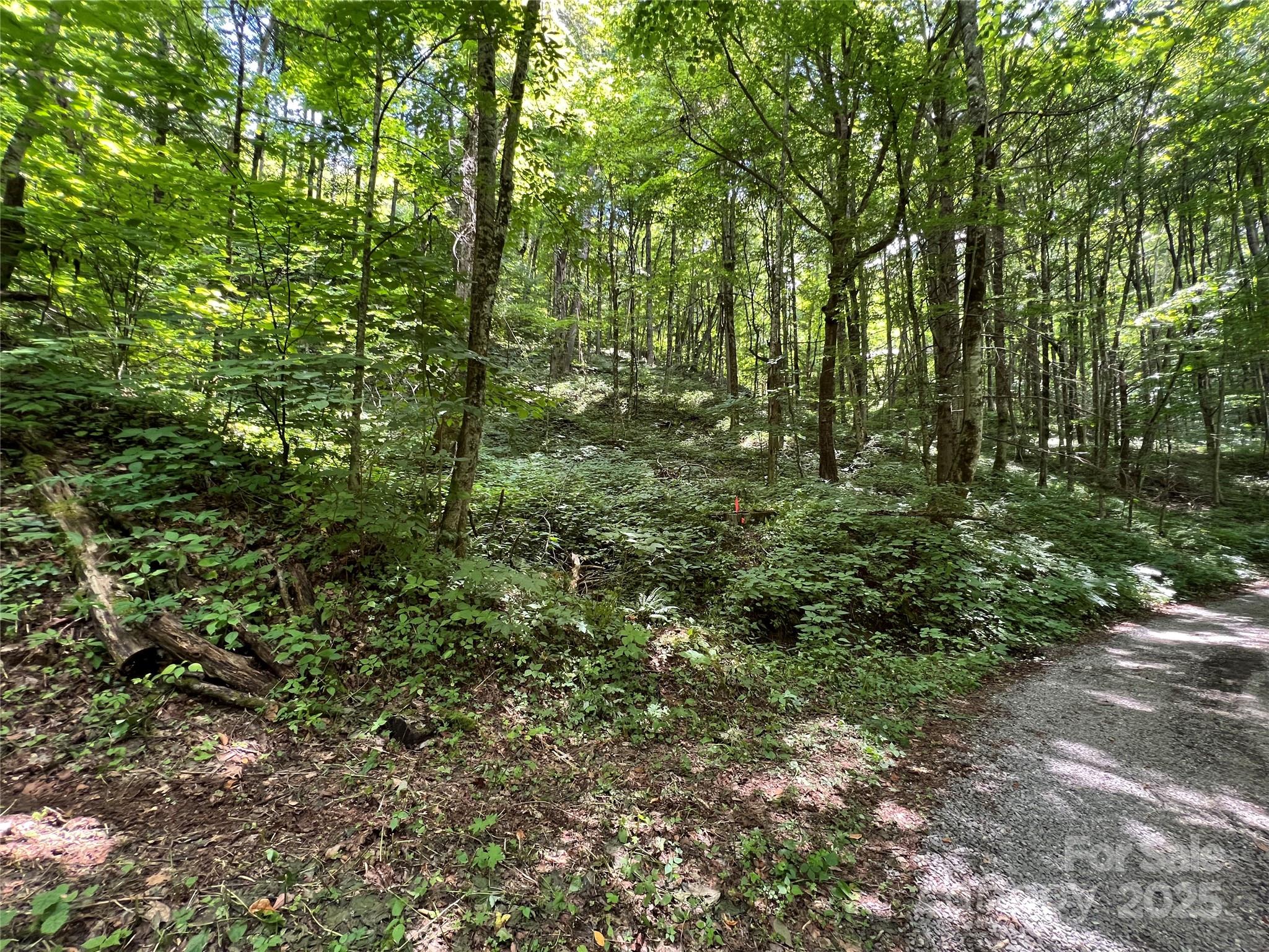 Cattail Creek - Land