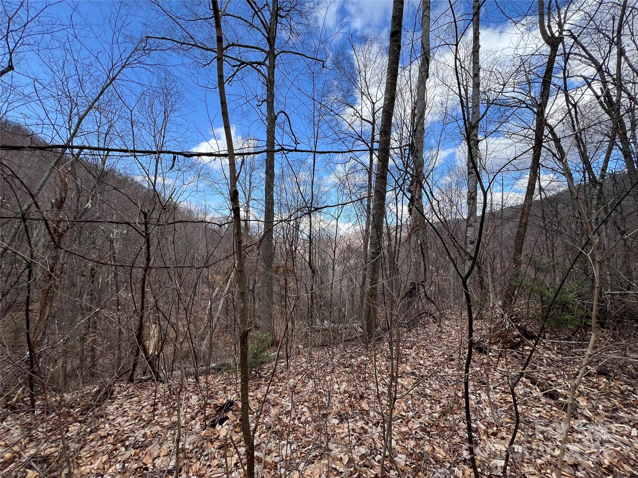 Cattail Creek - Land