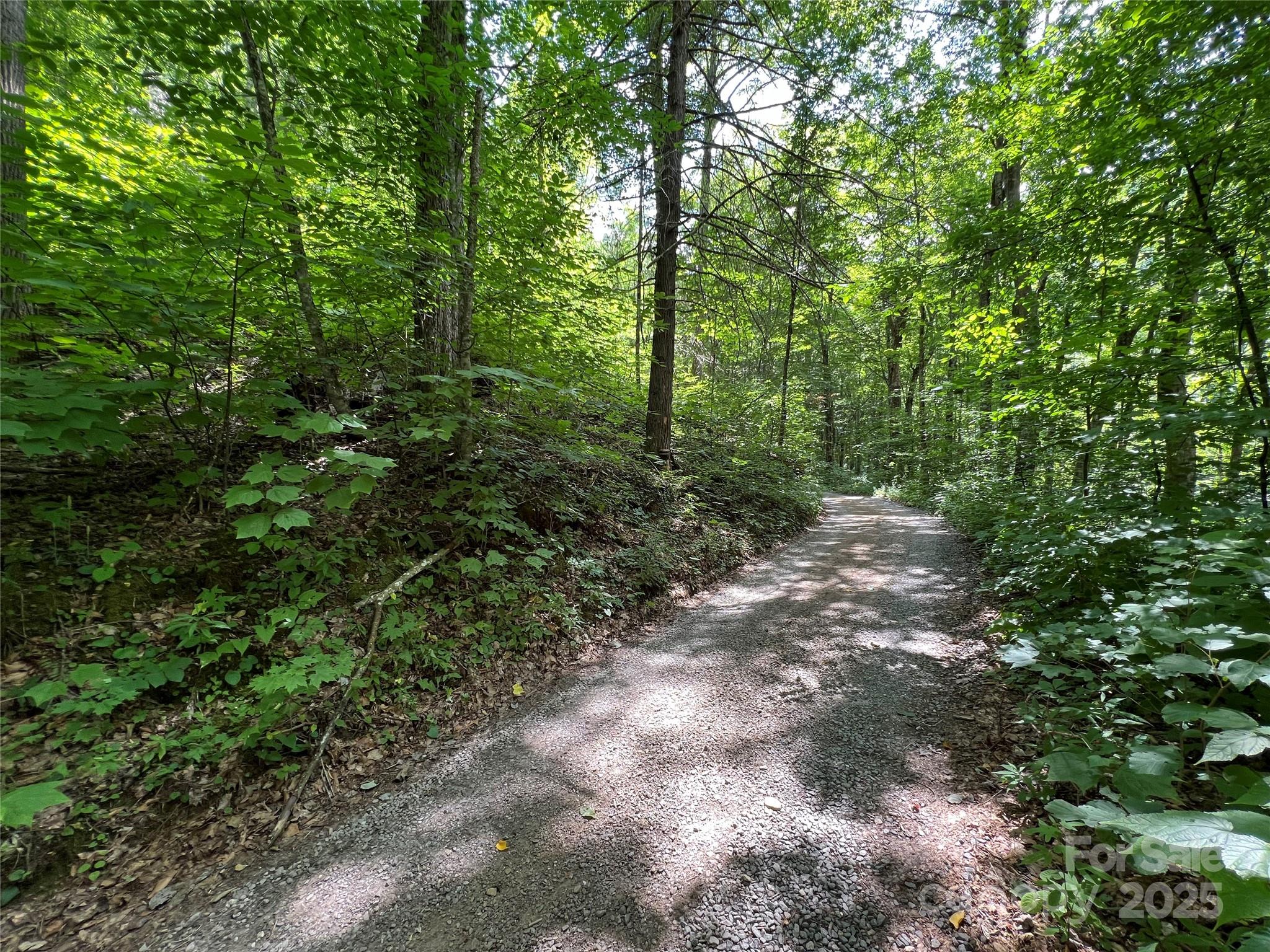 Cattail Creek - Land