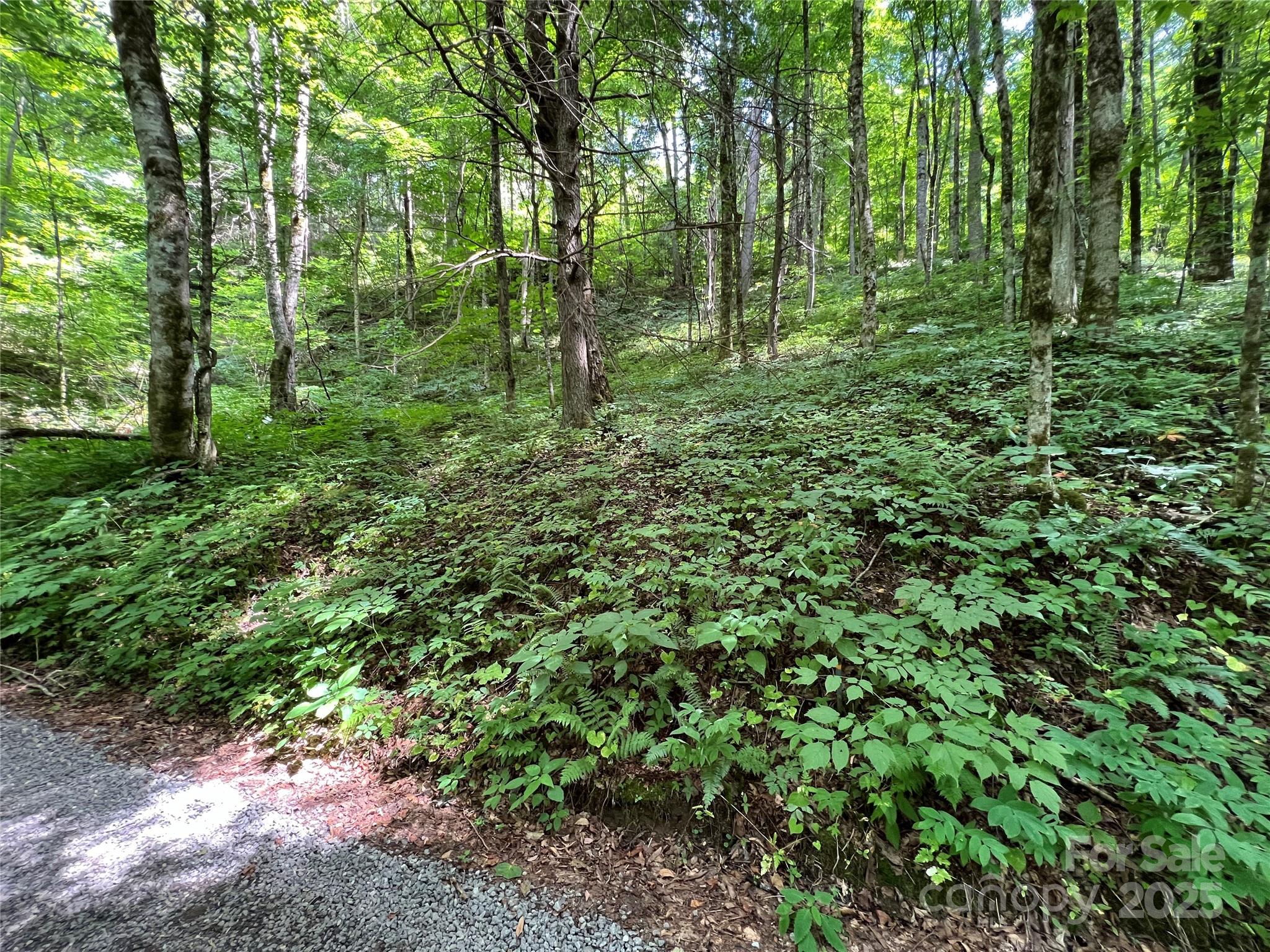 Cattail Creek - Land