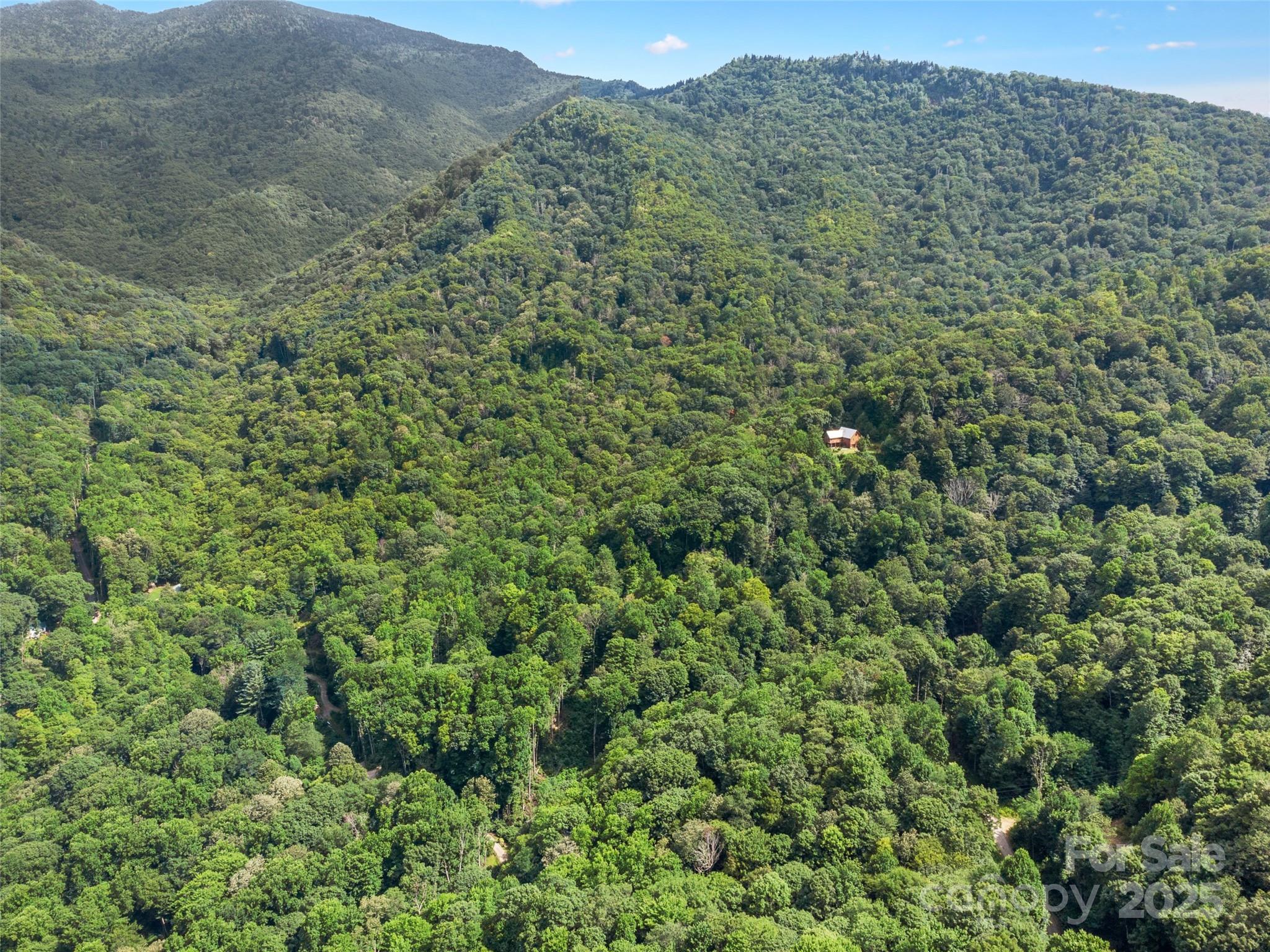 Cattail Creek - Land