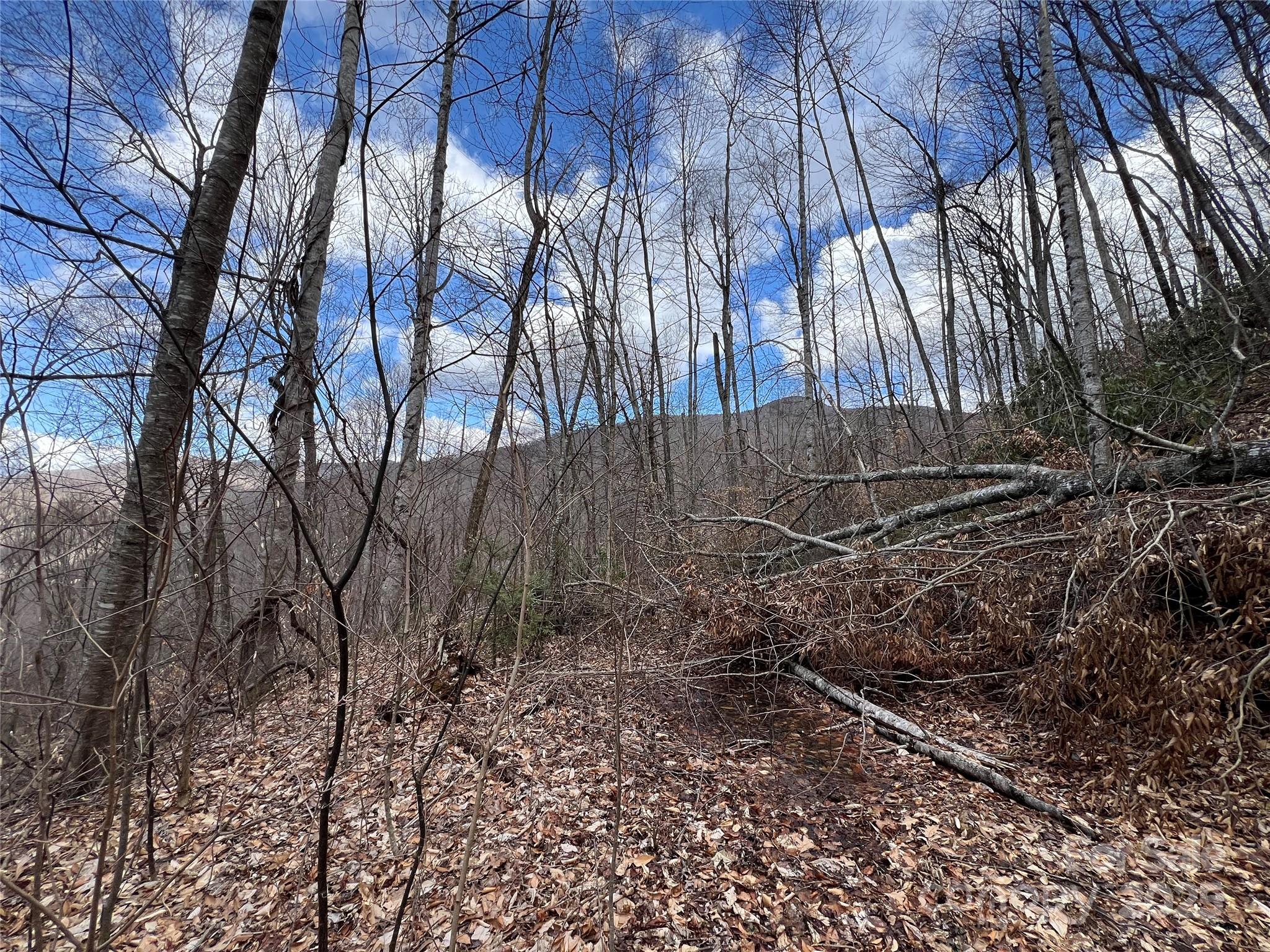 Cattail Creek - Land