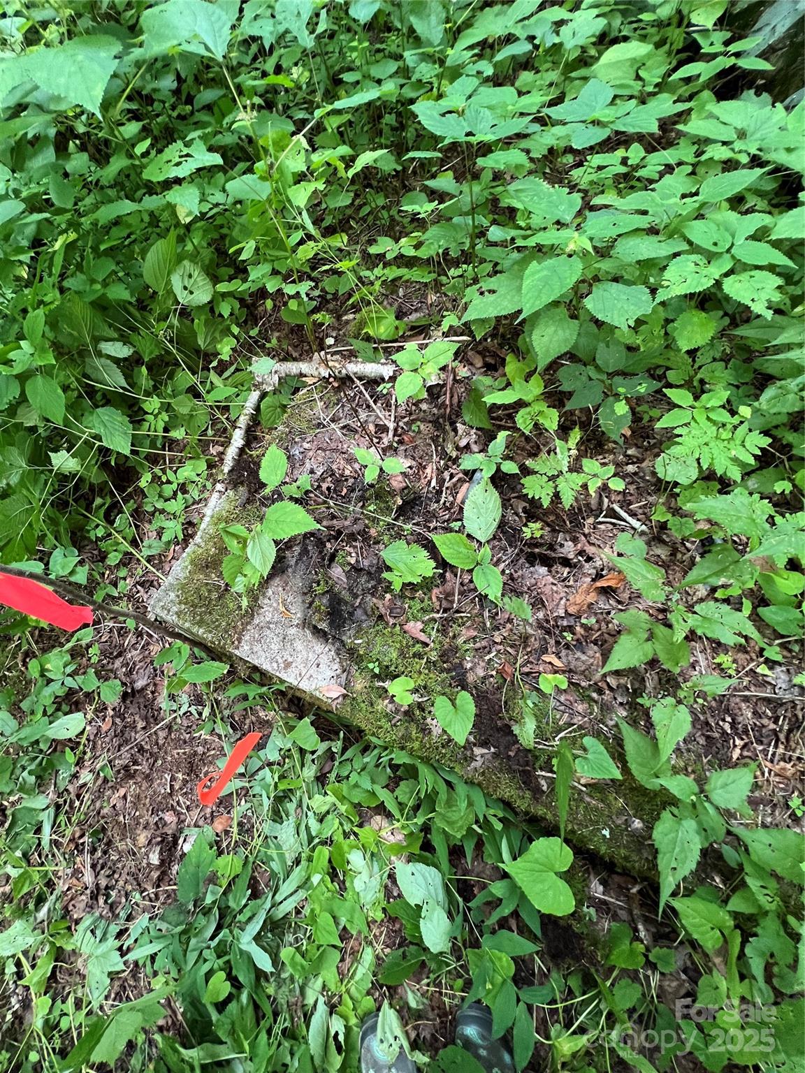 Cattail Creek - Land