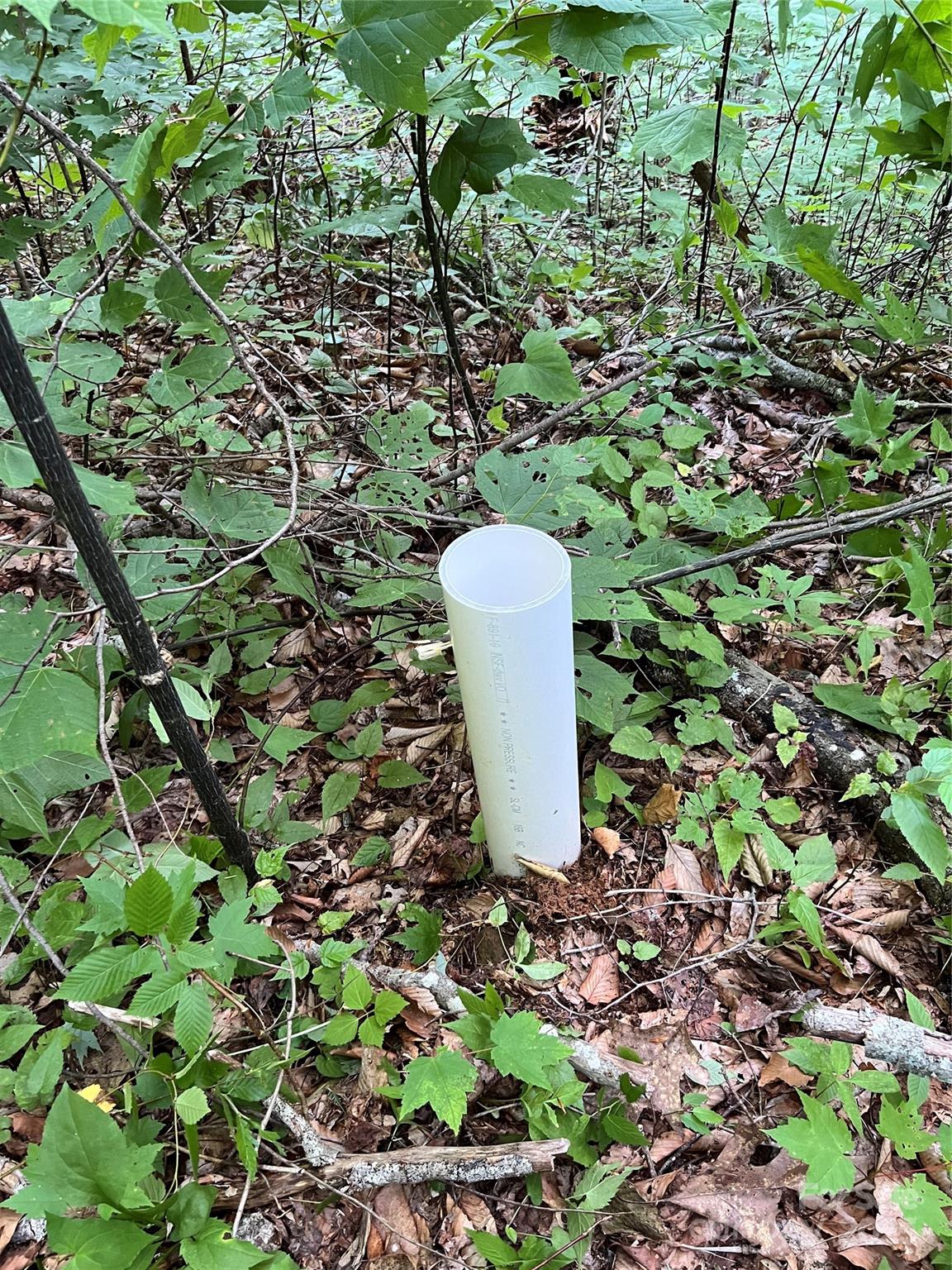 Cattail Creek - Land