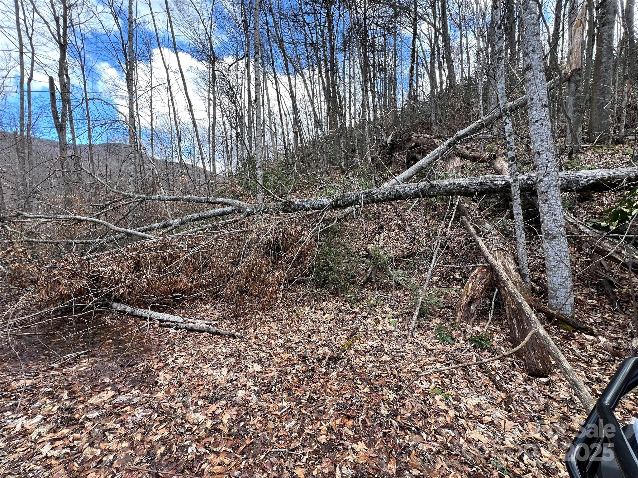 Cattail Creek - Land