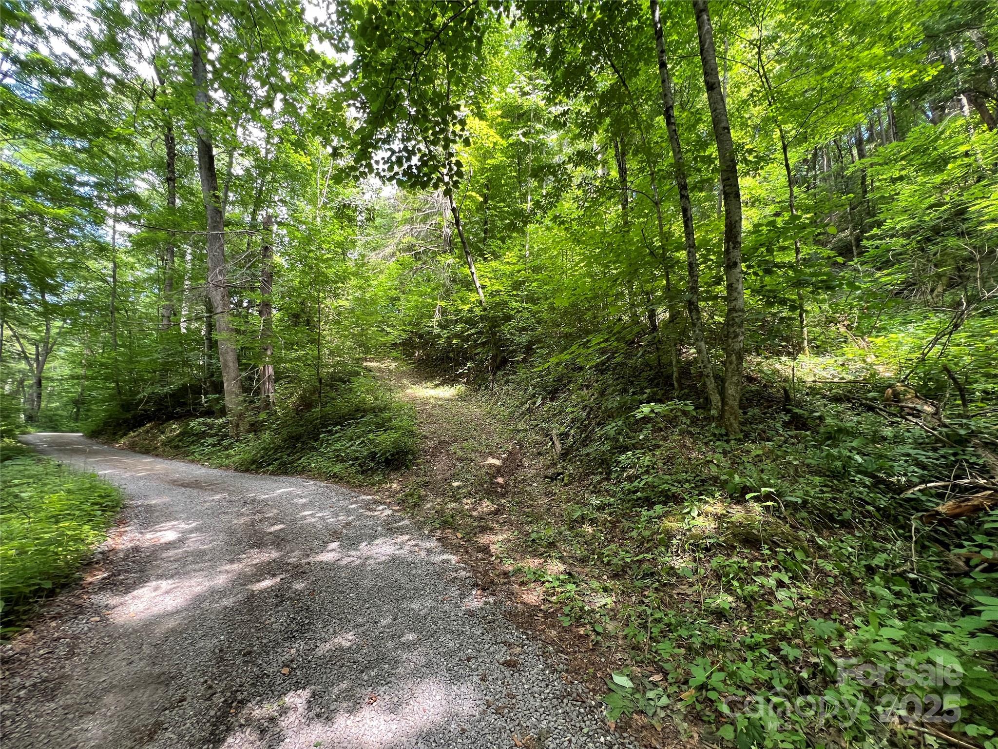 Cattail Creek - Land