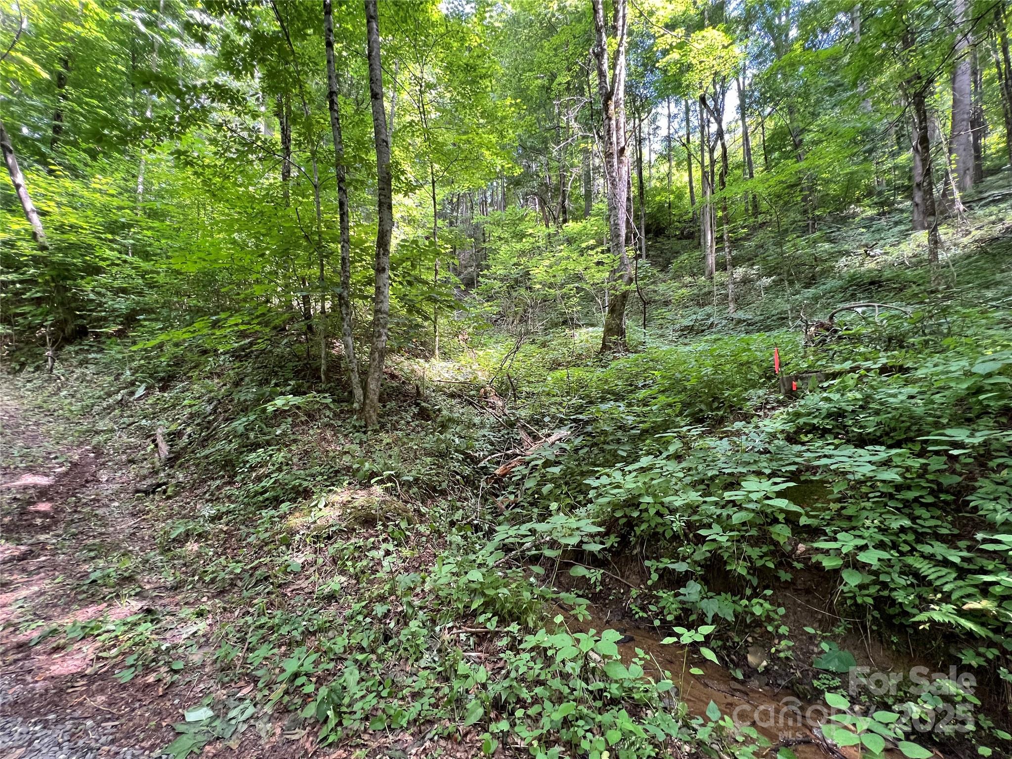 Cattail Creek - Land