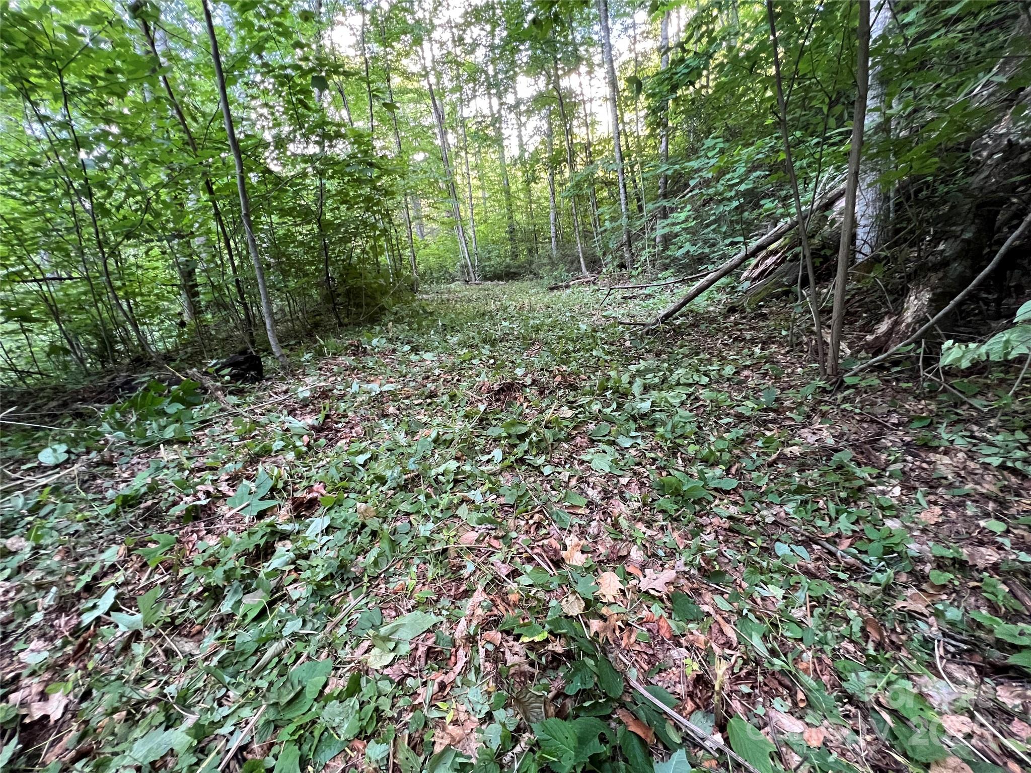 Cattail Creek - Land