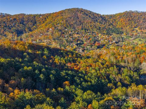 Photo of 51 Rice Branch Road, Asheville, NC 28804 (MLS # 4317623)