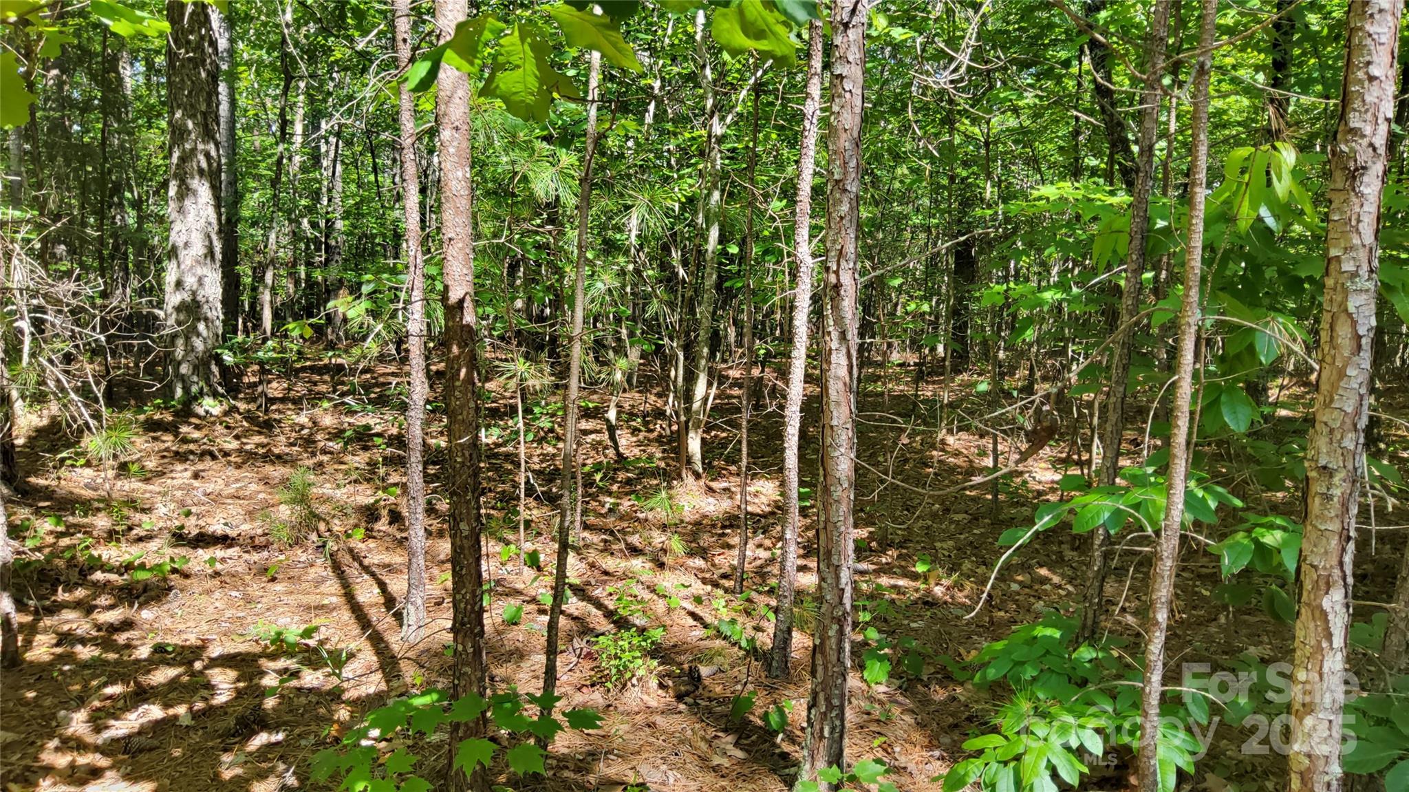 Ridgeview At Lake Lure - Land