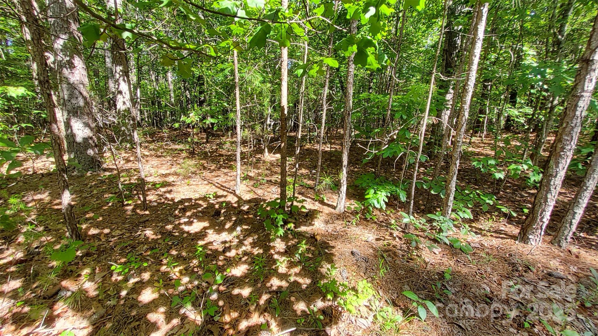 Ridgeview At Lake Lure - Land