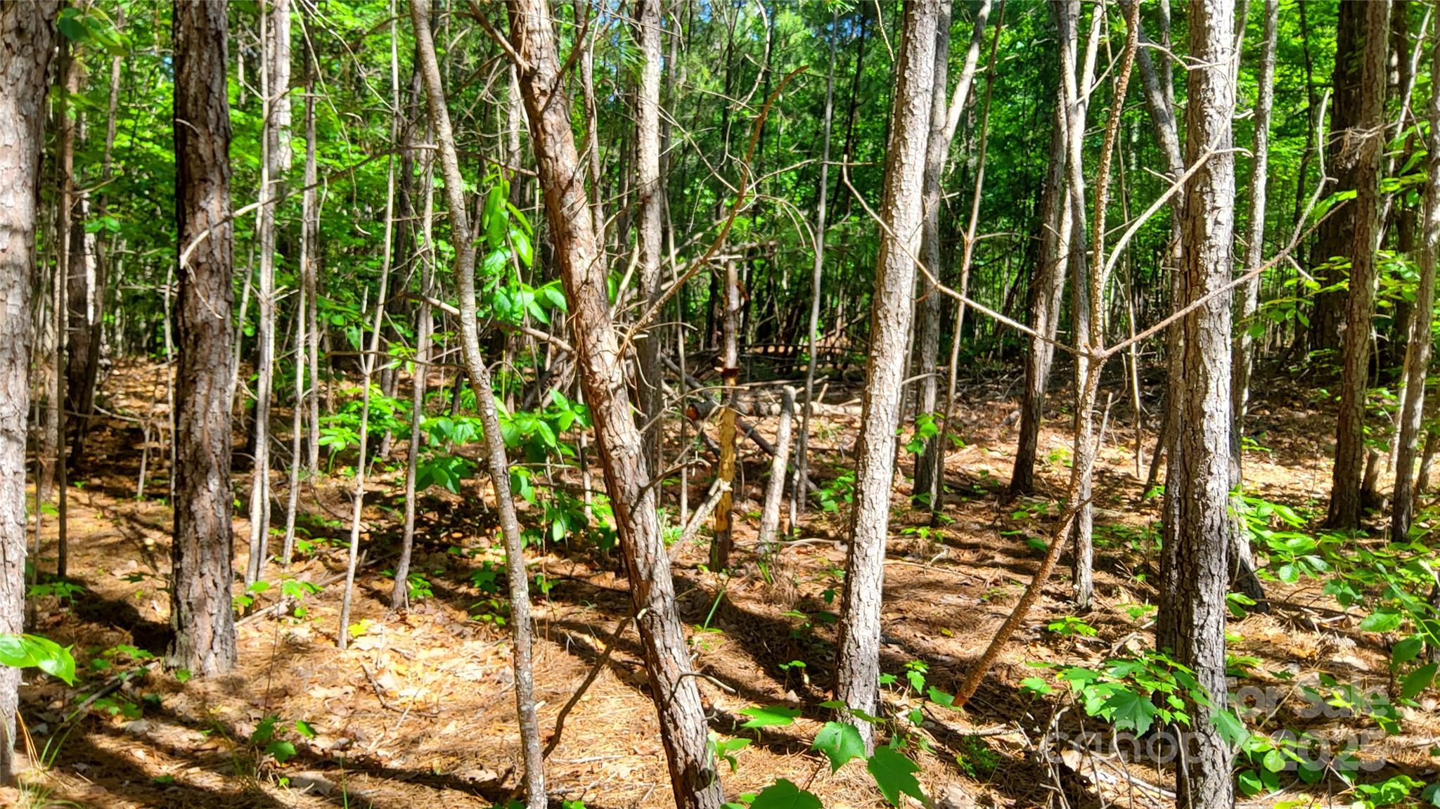 Ridgeview At Lake Lure - Land