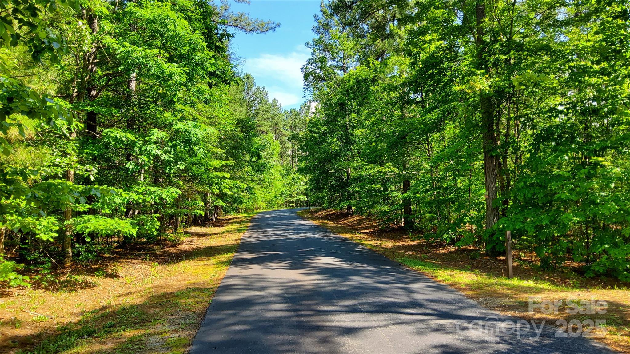 0000 Loblolly Lane 24/23/22
