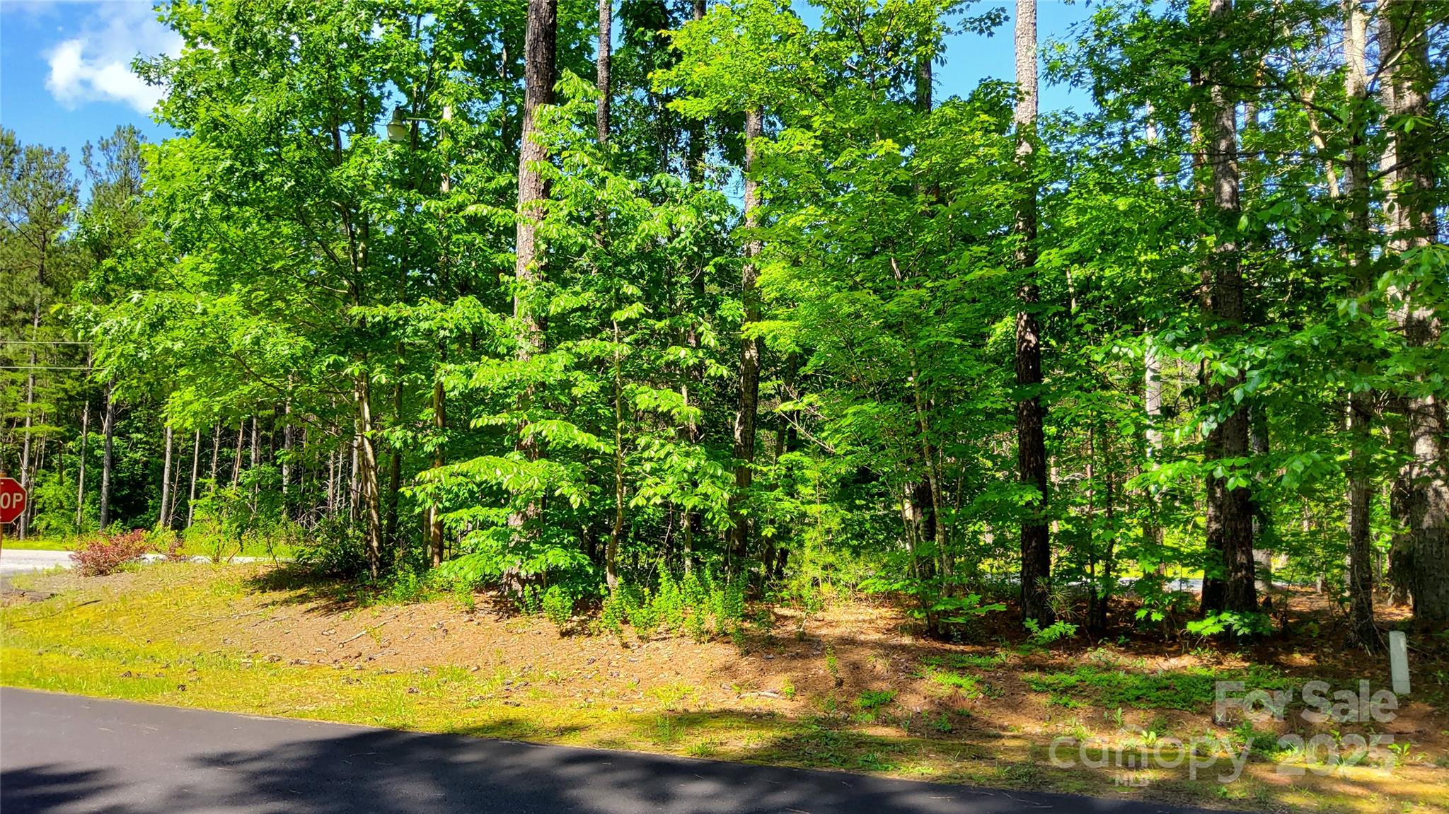 0000 Loblolly Lane 24/23/22