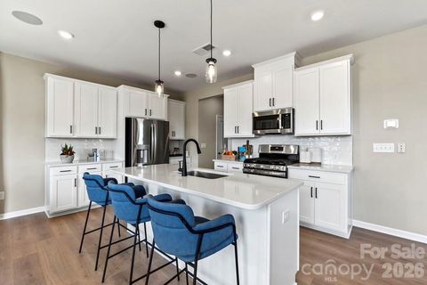 Photo of 17118 Walker Wylie Drive, Charlotte, NC 28278 (MLS # 4381488)