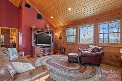 A home in Pisgah Forest