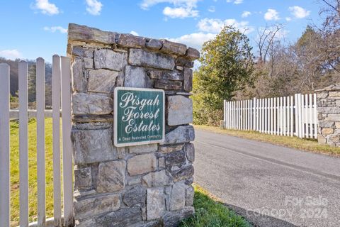 A home in Pisgah Forest