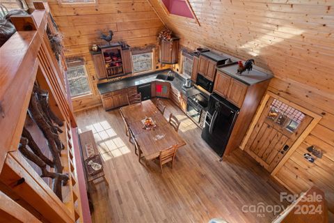 A home in Pisgah Forest