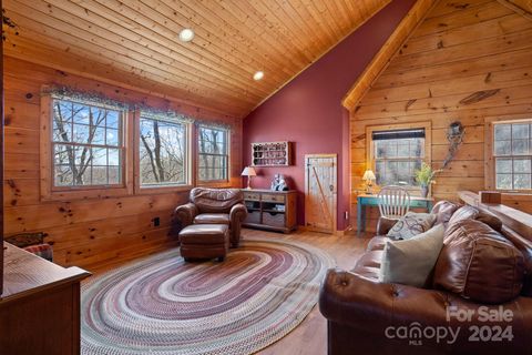 A home in Pisgah Forest