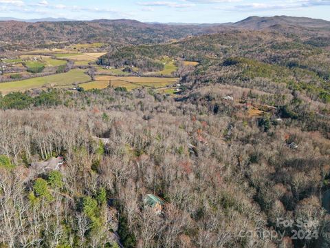 A home in Pisgah Forest