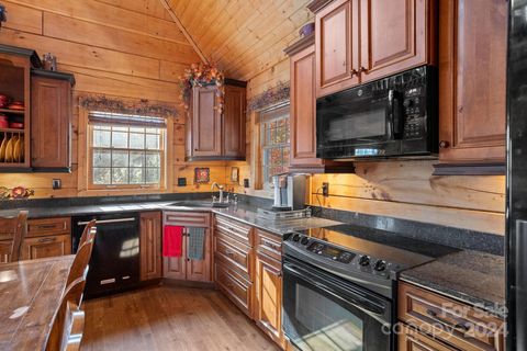 A home in Pisgah Forest