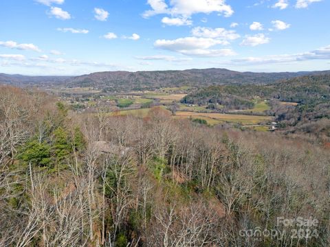 A home in Pisgah Forest