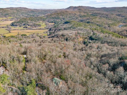 A home in Pisgah Forest