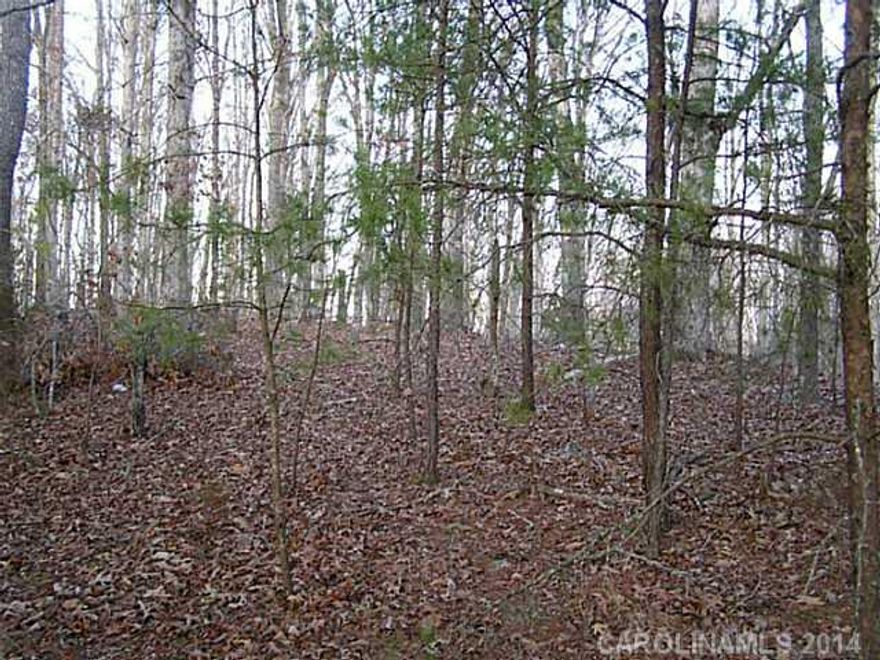 Beautiful hardwooded lot with rolling topo and seasonal creek in center. Property also has small scattered pines throughout. Nice build site towards the front of the parcel that sits up nice and high. Parcel is rectangular in shape, is backed by a large farm and surrounded by like-in-kind properties.