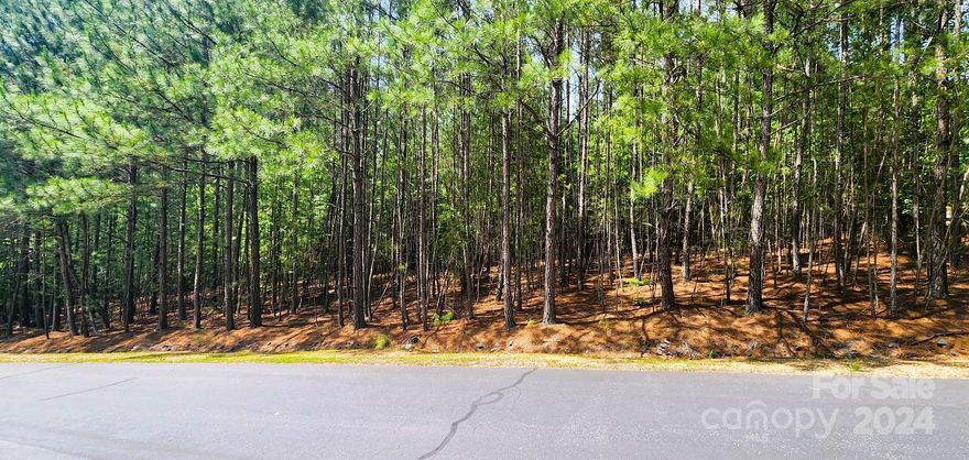 Anchors Landing Lot 243 – Quiet and Private! Lovely tree covered homesite with the perfect slope for a walkout basement. Face your deck overlooking the creek at the bottom of the lot. You’ll have plenty of space between you and the neighbor! Just a hop across the street and you’ll be at the prettiest area of walking paths around the “cascading ponds”, with benches to rest on while taking in the wildlife: turkeys, deer and ducks to name a few.  There are about 7 miles of walking trials in all, a clubhouse with a huge deck and pool. Pickle Ball courts and community boat slips. All of these are sure to please! This is a gated community so please contact your agent to show you around.