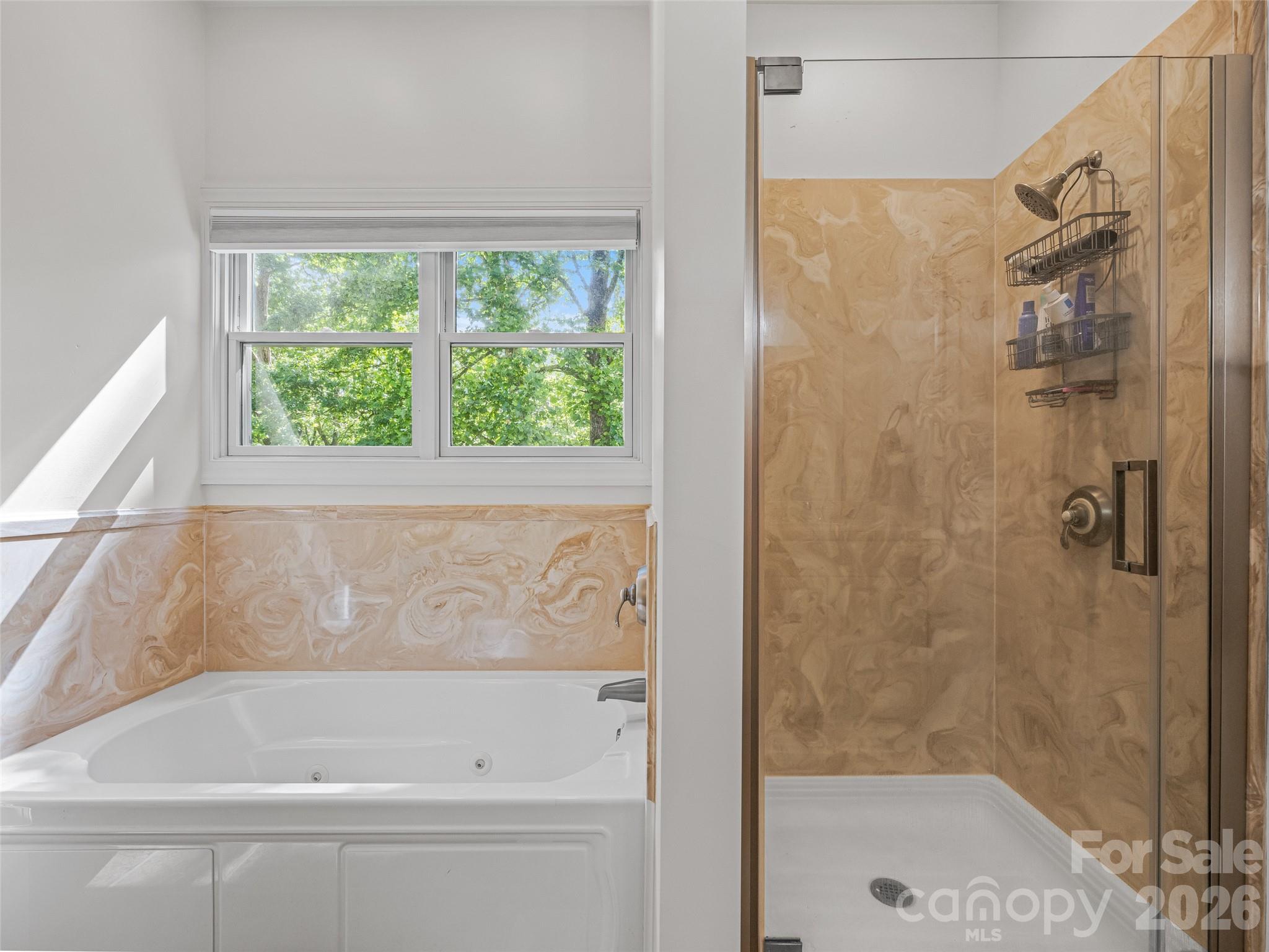 Mills Pointe - Residential