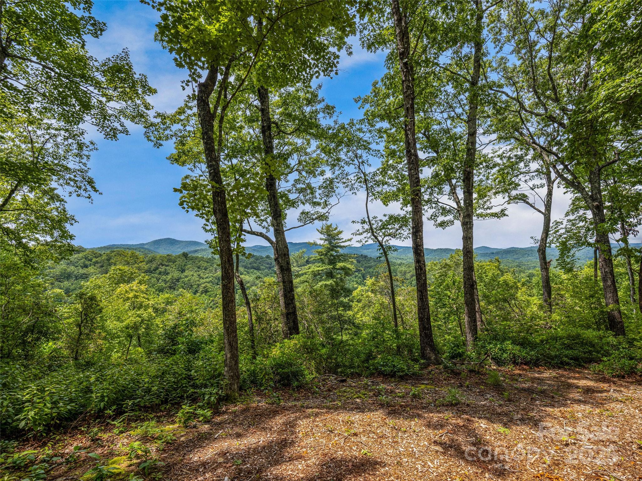 Lot 10 South Hill Drive